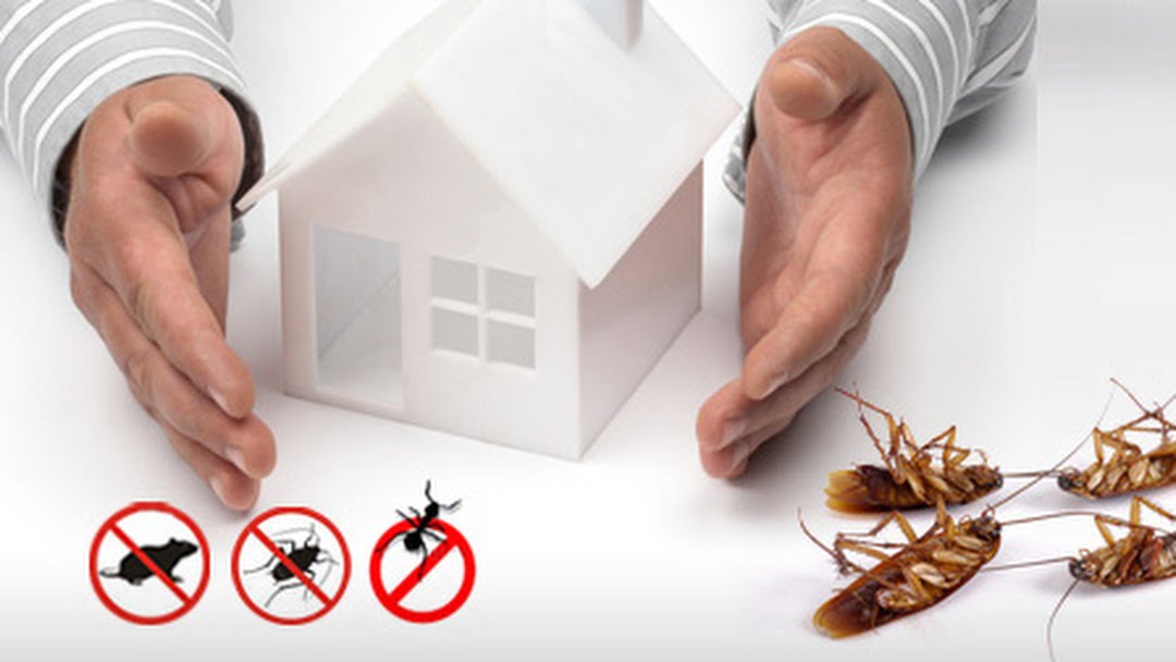 Idaho Falls Pest Control